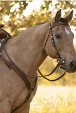 Weaver Austin Browband Headstall