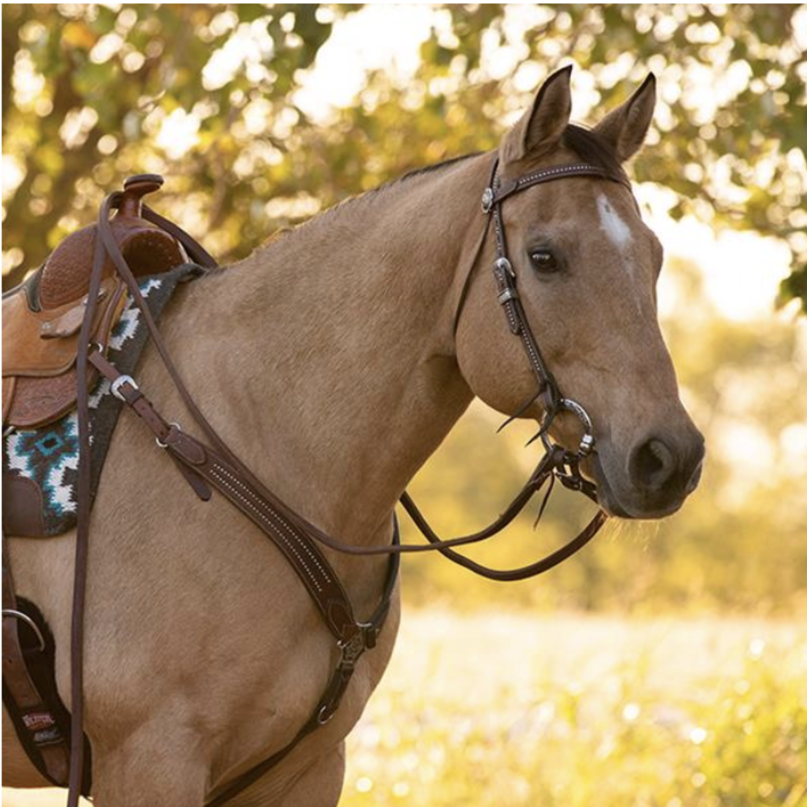 Weaver Austin Browband Headstall