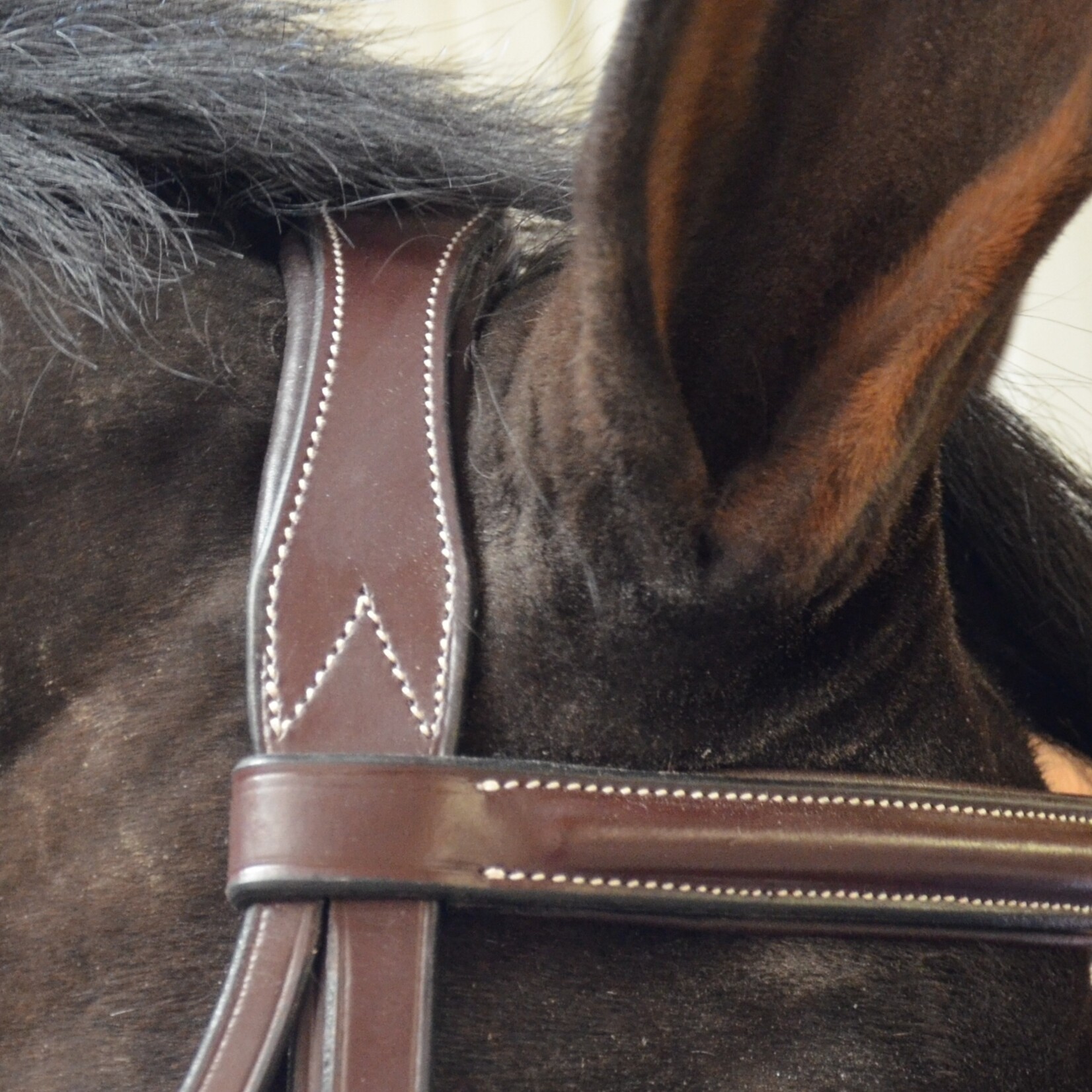 Black Oak Cyprus Wide Nose Padded Bridle