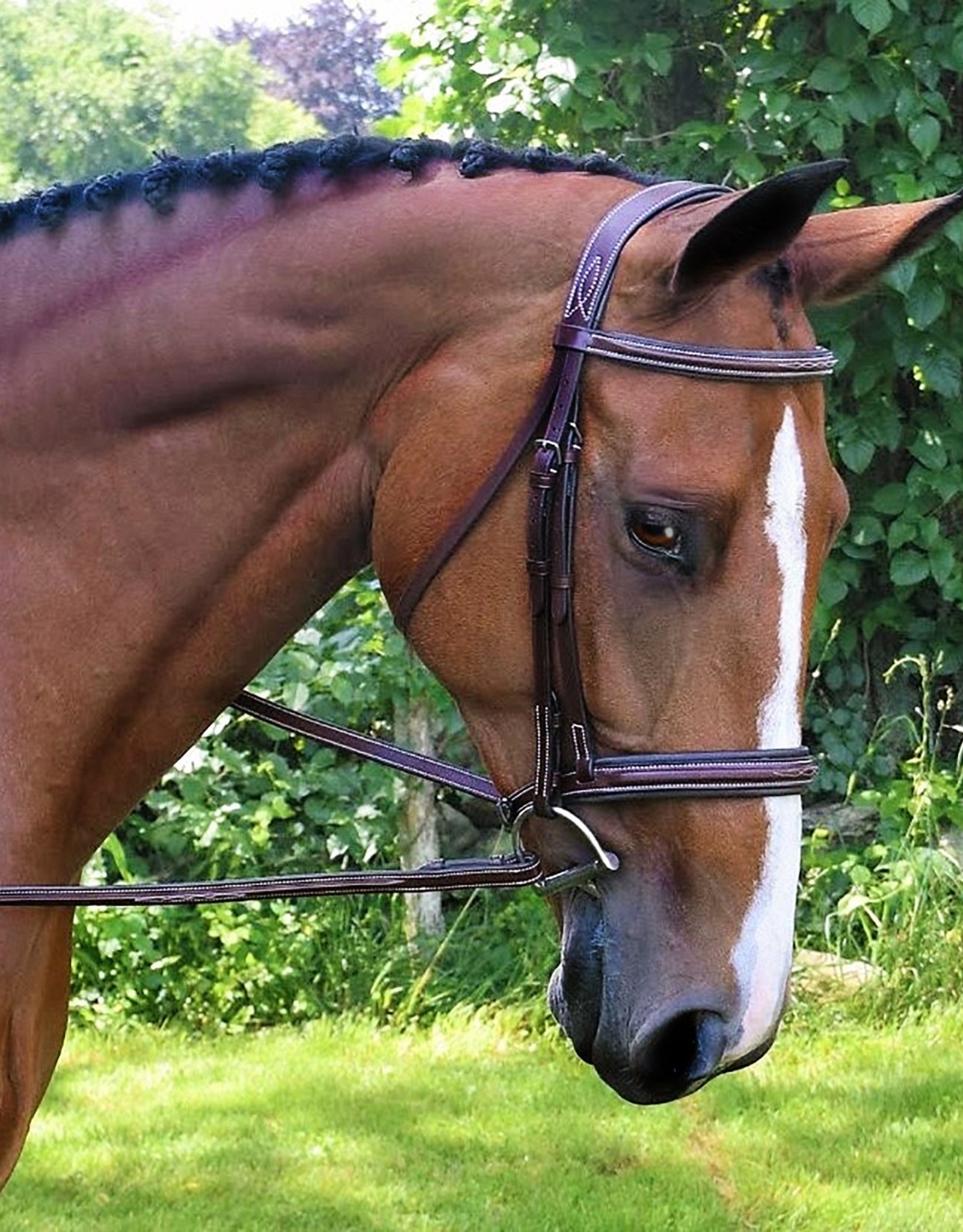 Black Oak Laurel Hunter Bridle