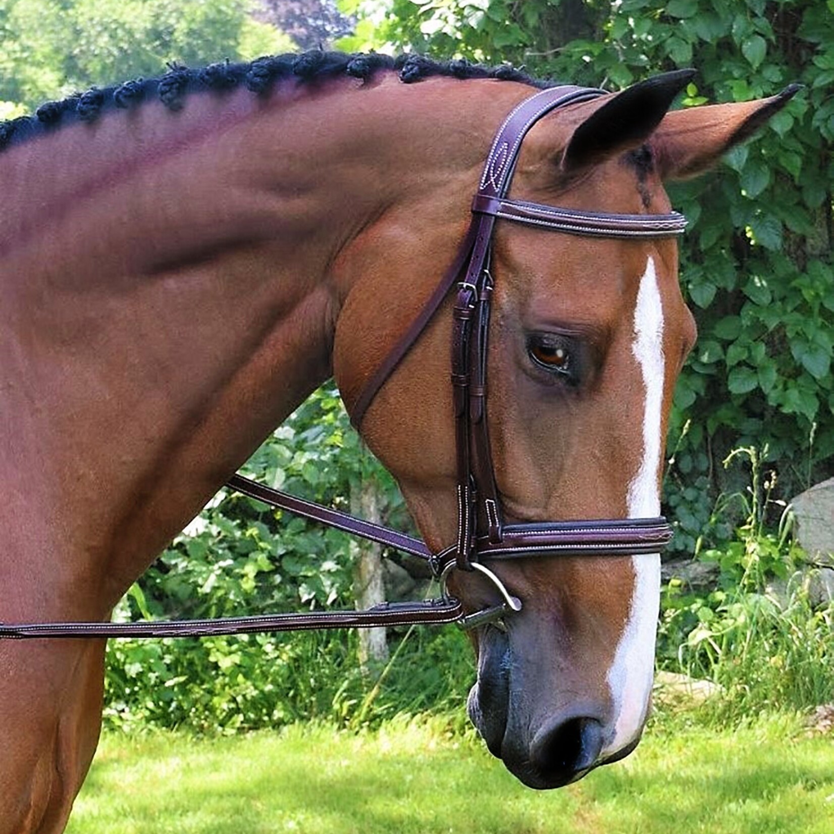 Black Oak Laurel Hunter Bridle