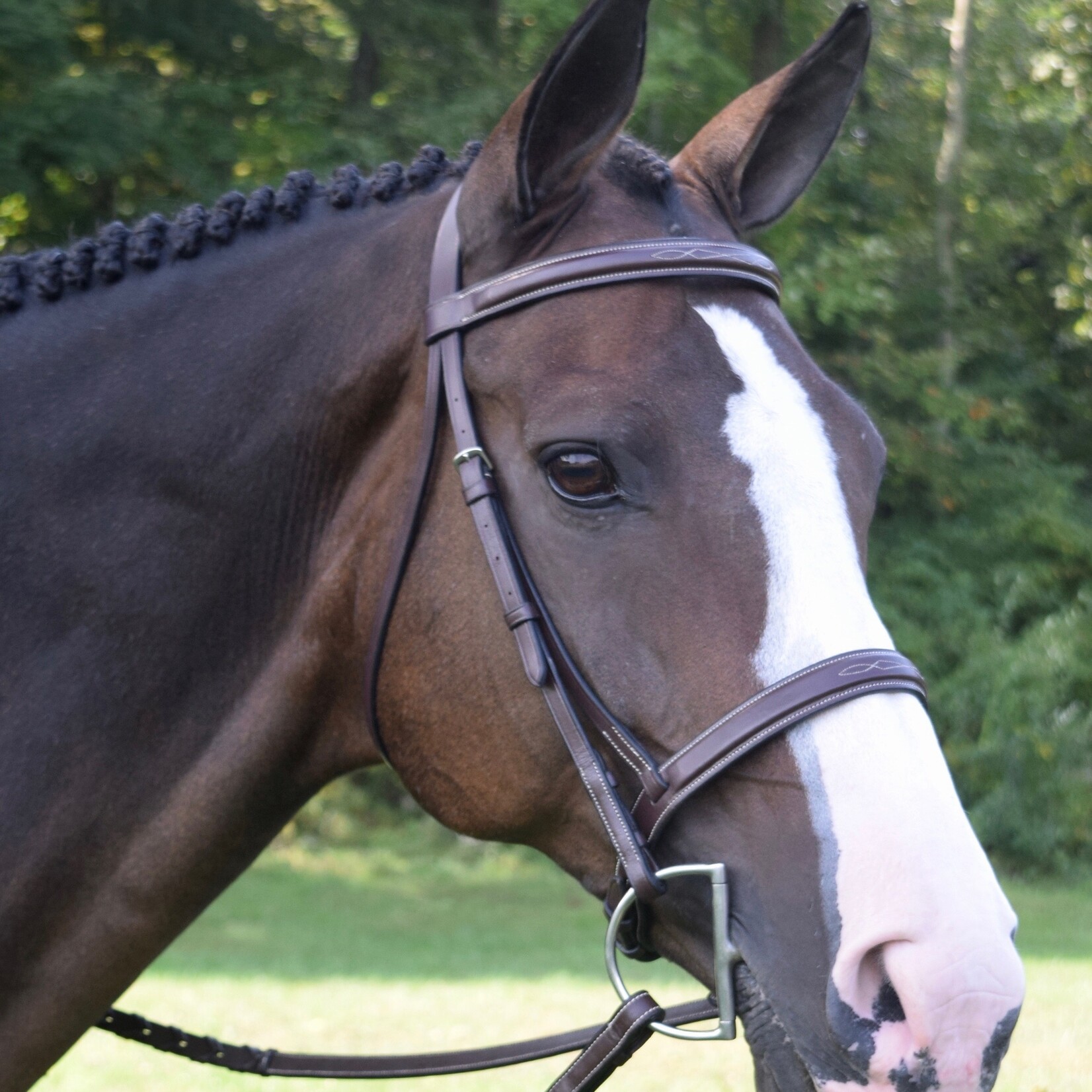 Black Oak Spruce Hunter Bridle