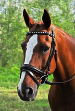 Red Barn Cadence Dressage Bridle with Flash
