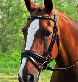 Red Barn Cadence Dressage Bridle with Flash