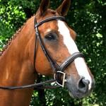 Red Barn Tryon Hunter Bridle
