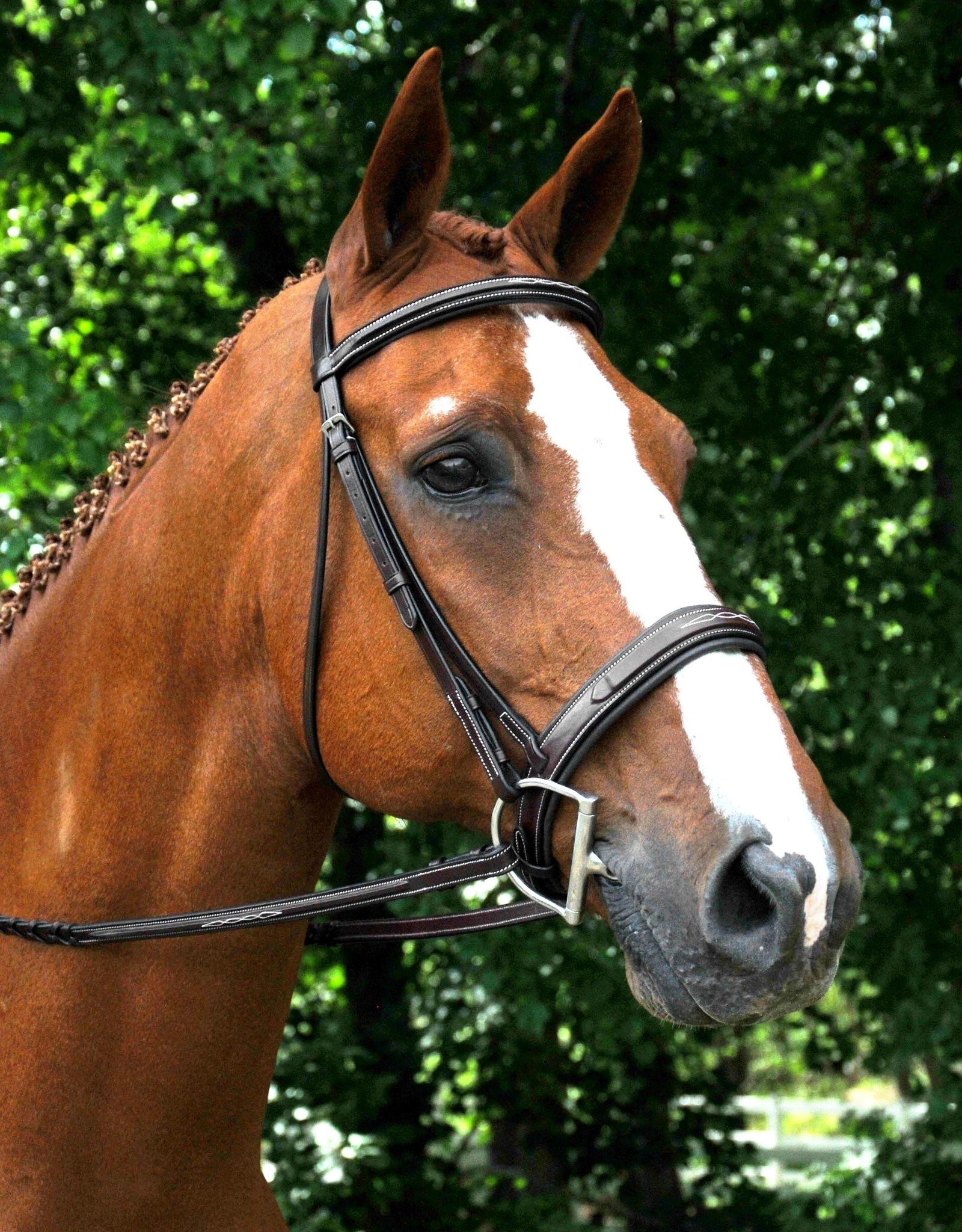 Red Barn Tryon Hunter Bridle