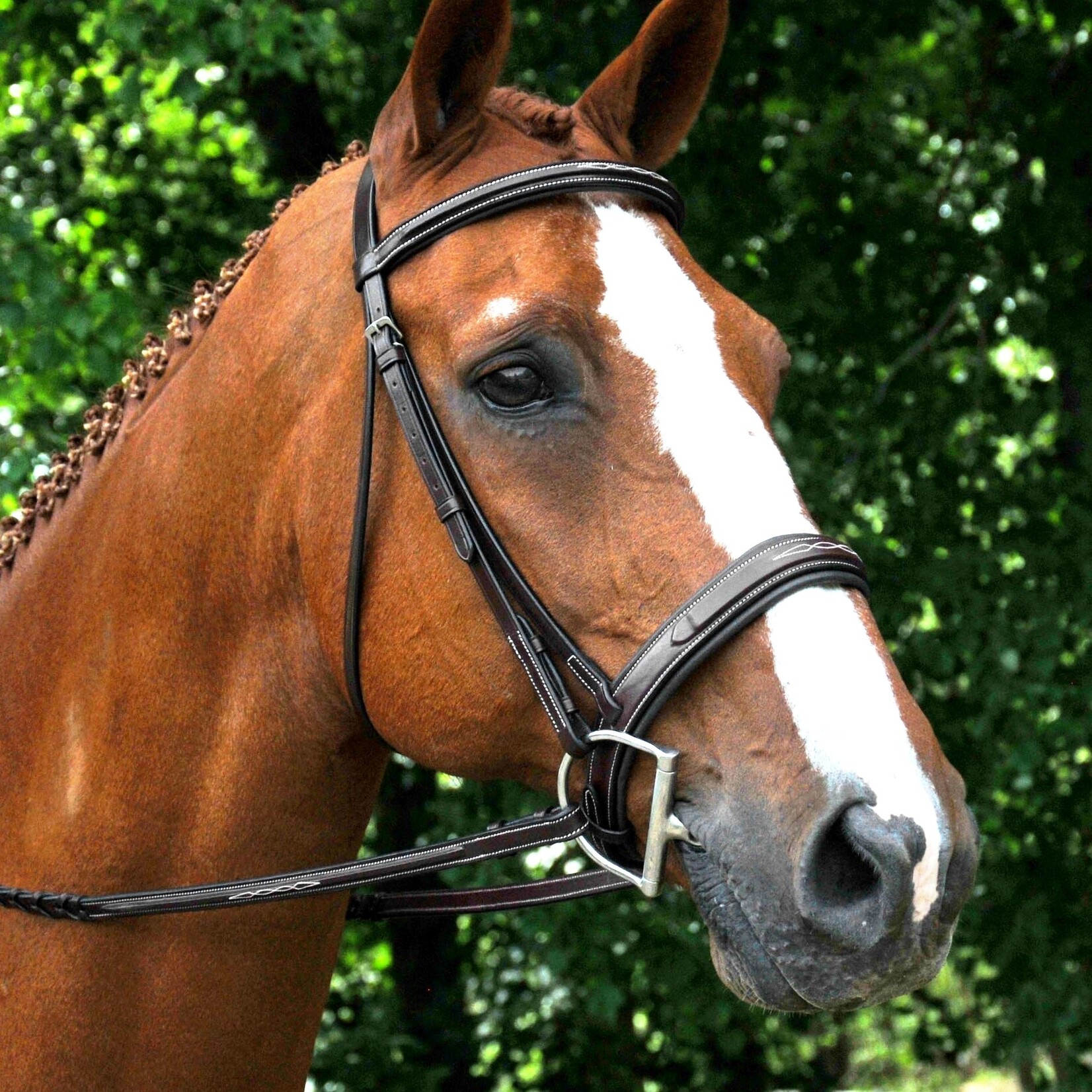 Red Barn Tryon Hunter Bridle