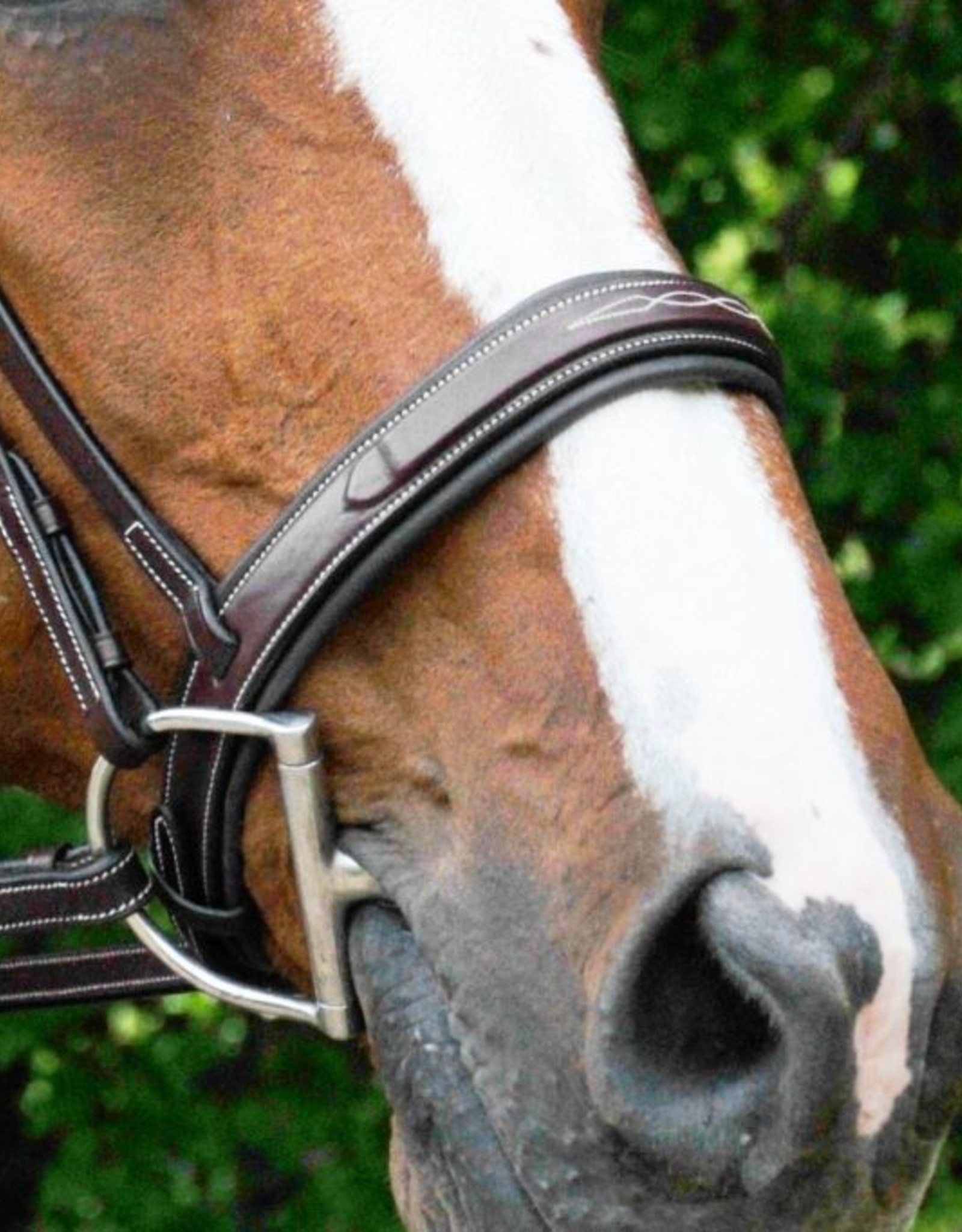 Red Barn Tryon Hunter Bridle