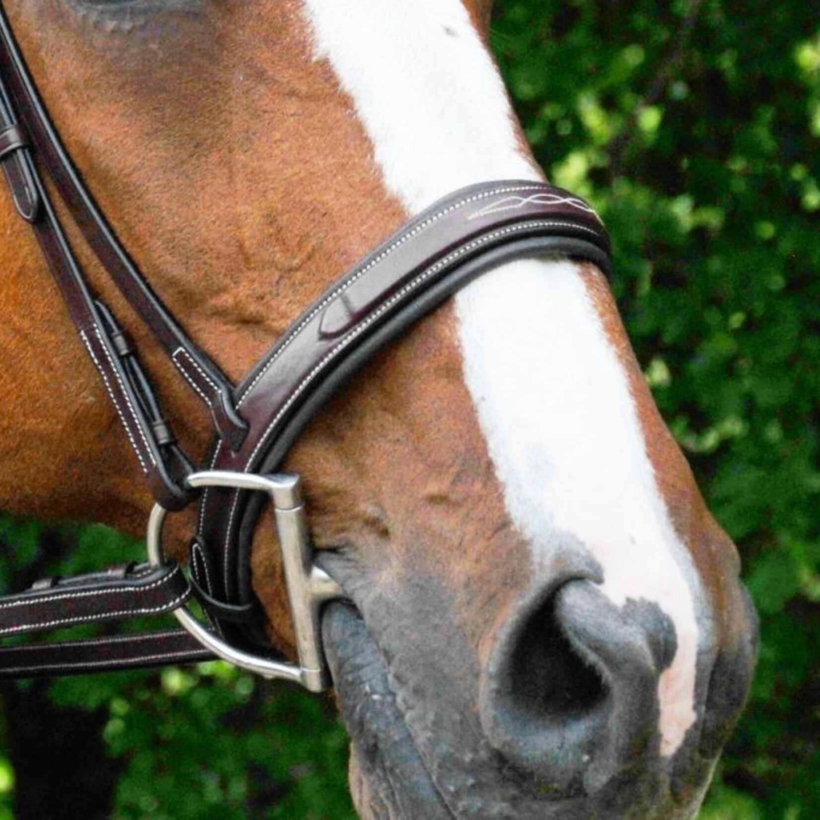 Red Barn Tryon Hunter Bridle