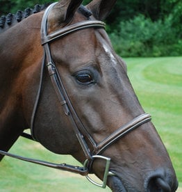 Black Oak by KL Select Fancy Stitched Square Raised Standing Martingale