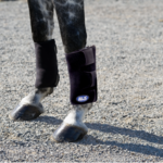 Ice Horse Tendon Wrap - Pair