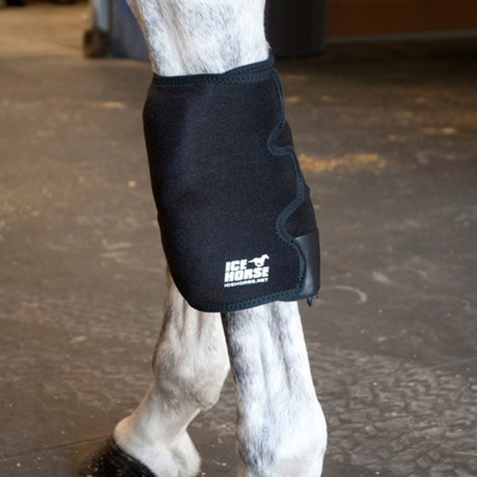 Ice Horse Knee/Pastern Wrap - Pair