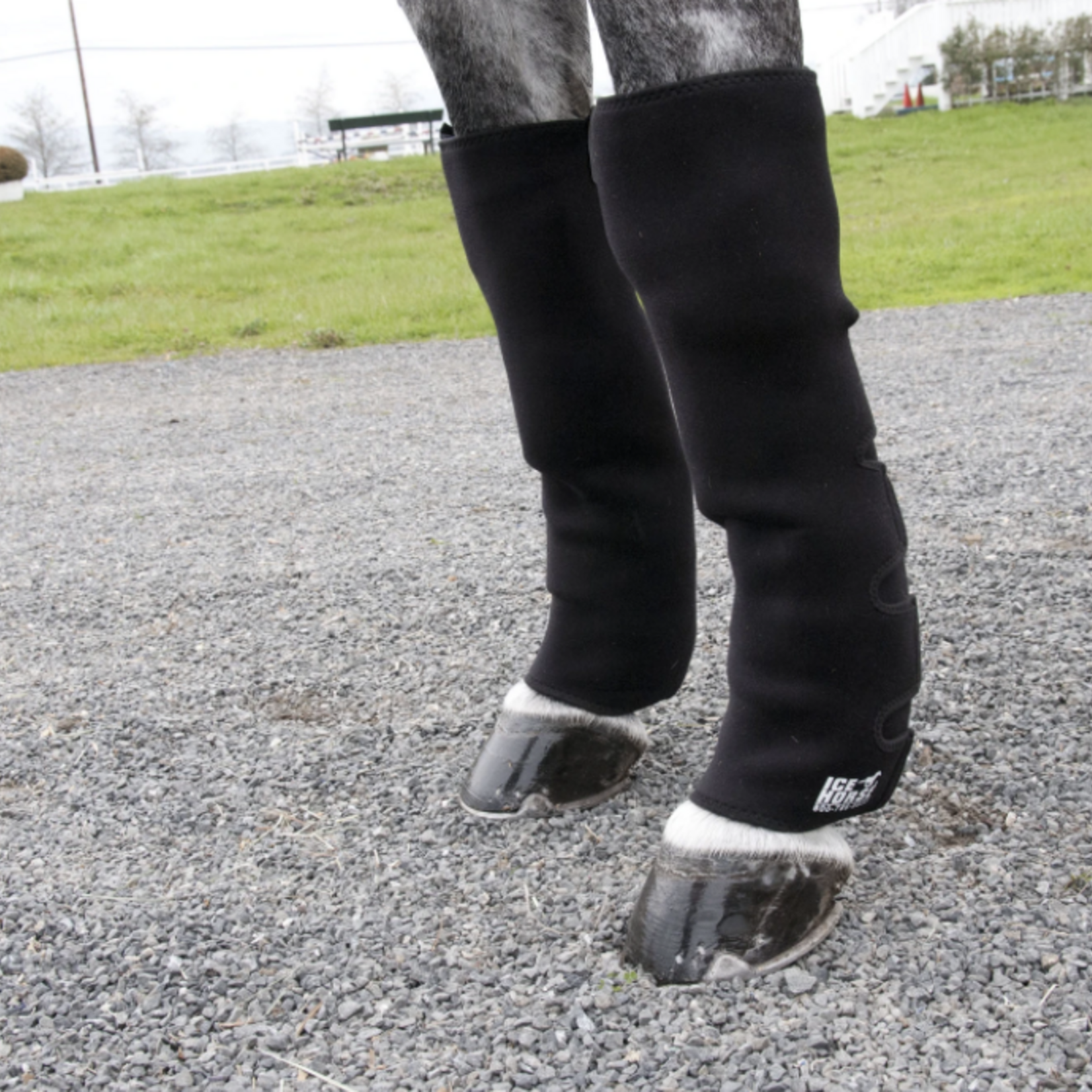 Ice Horse Knee to Ankle with 12 Inserts - Pair