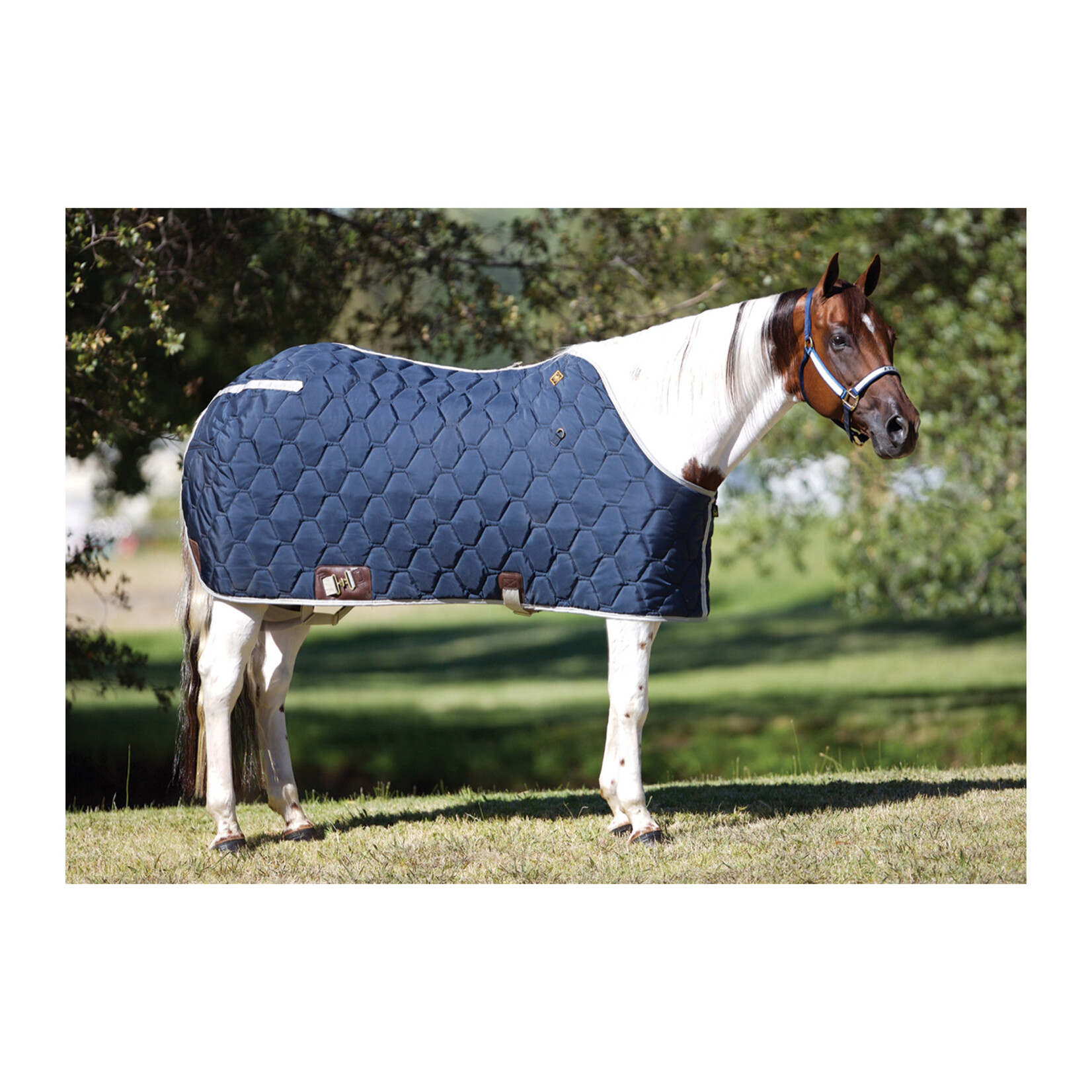 Big D Big D All American Closed Front Blanket