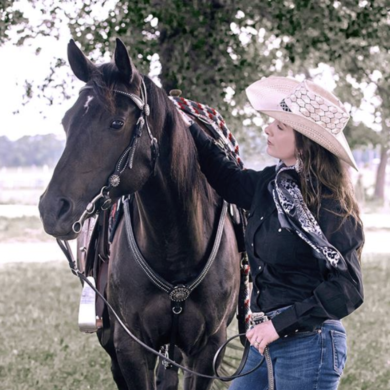 Weaver Back in Black Breastcollar