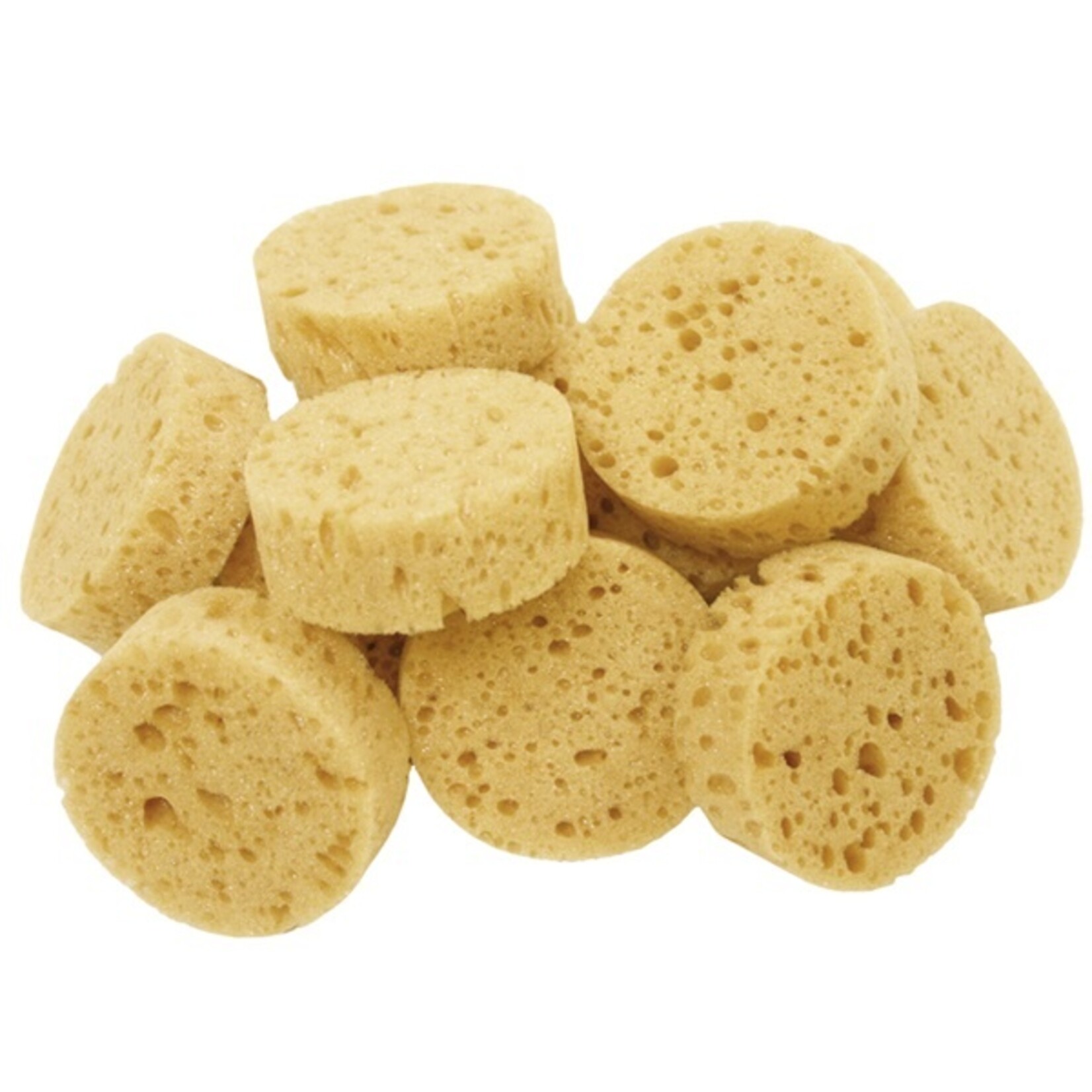 JMI Economy Tack Sponges - 12pk