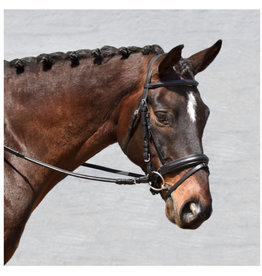 Bobby's English Tack Signature Padded Monocrown with Flash Dressage Bridle