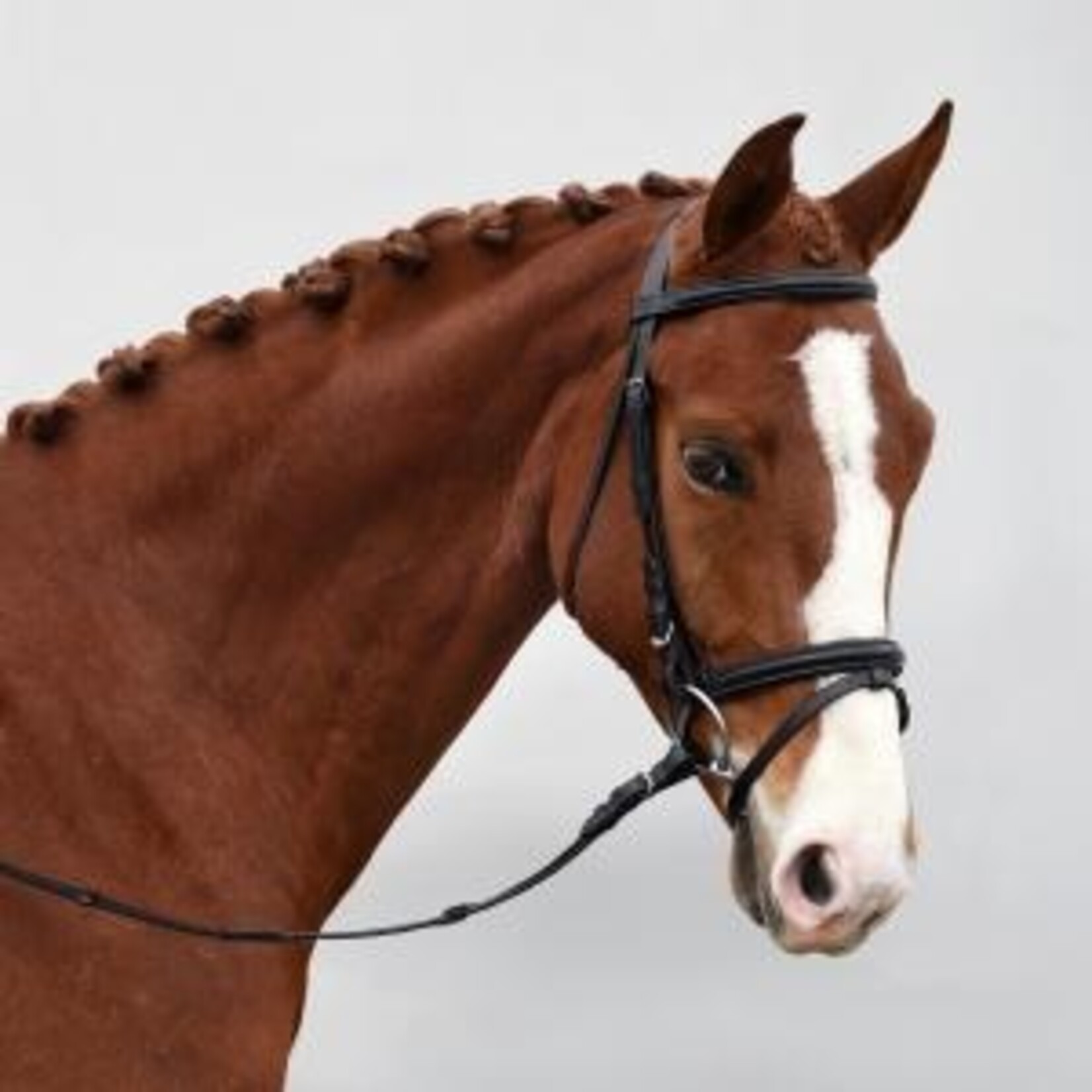 Fairhaven Fairhaven Plain Raised Bridle with Flash