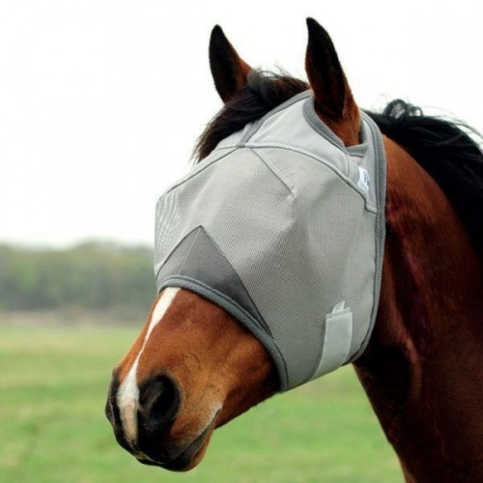 Cashel Cashel Crusader Cool Mask Standard