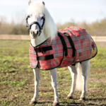 Kensington Textilene Miniature Fly Sheet