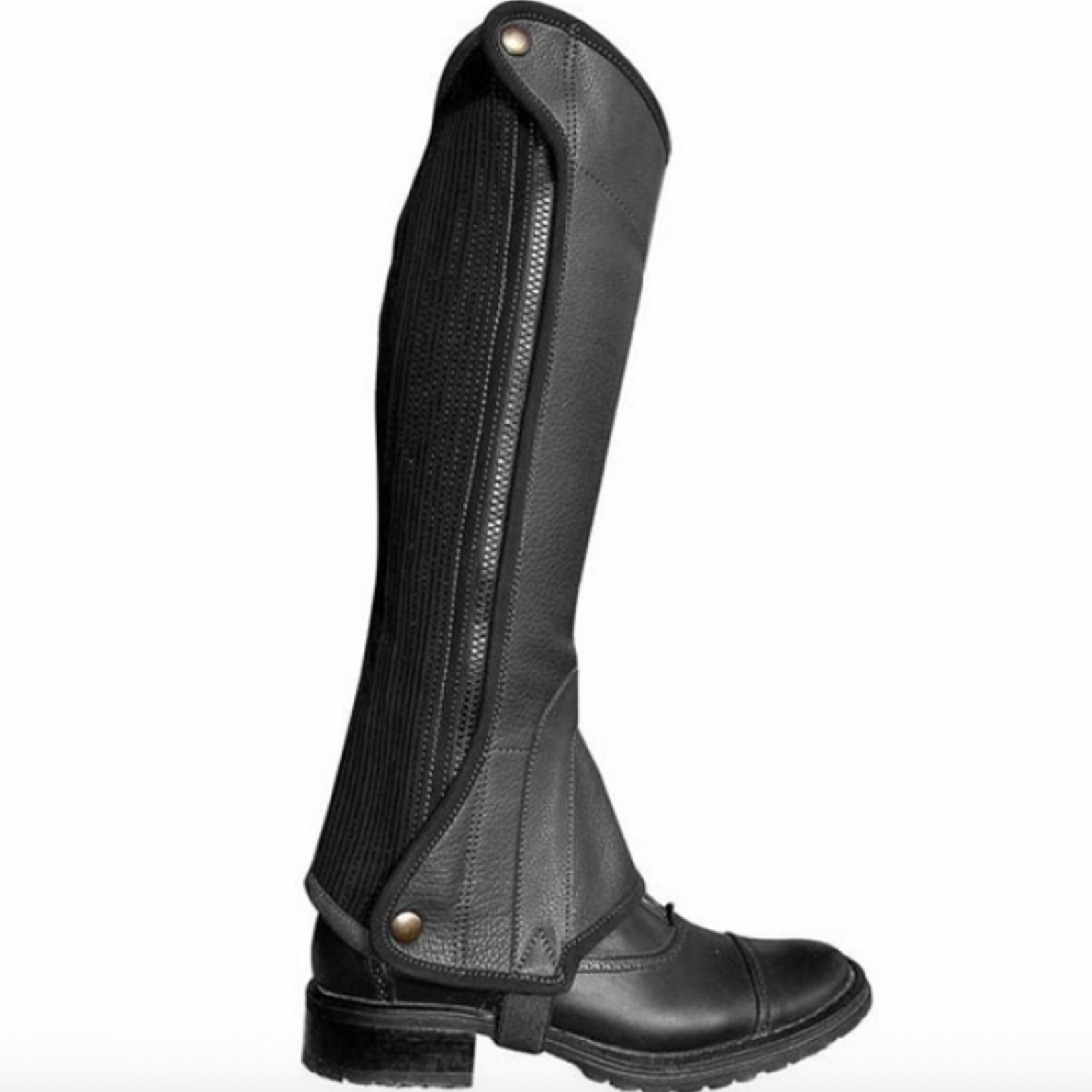 Elite The Elite Smooth Leather Half Chap