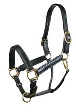 Tory Padded Leather Halter