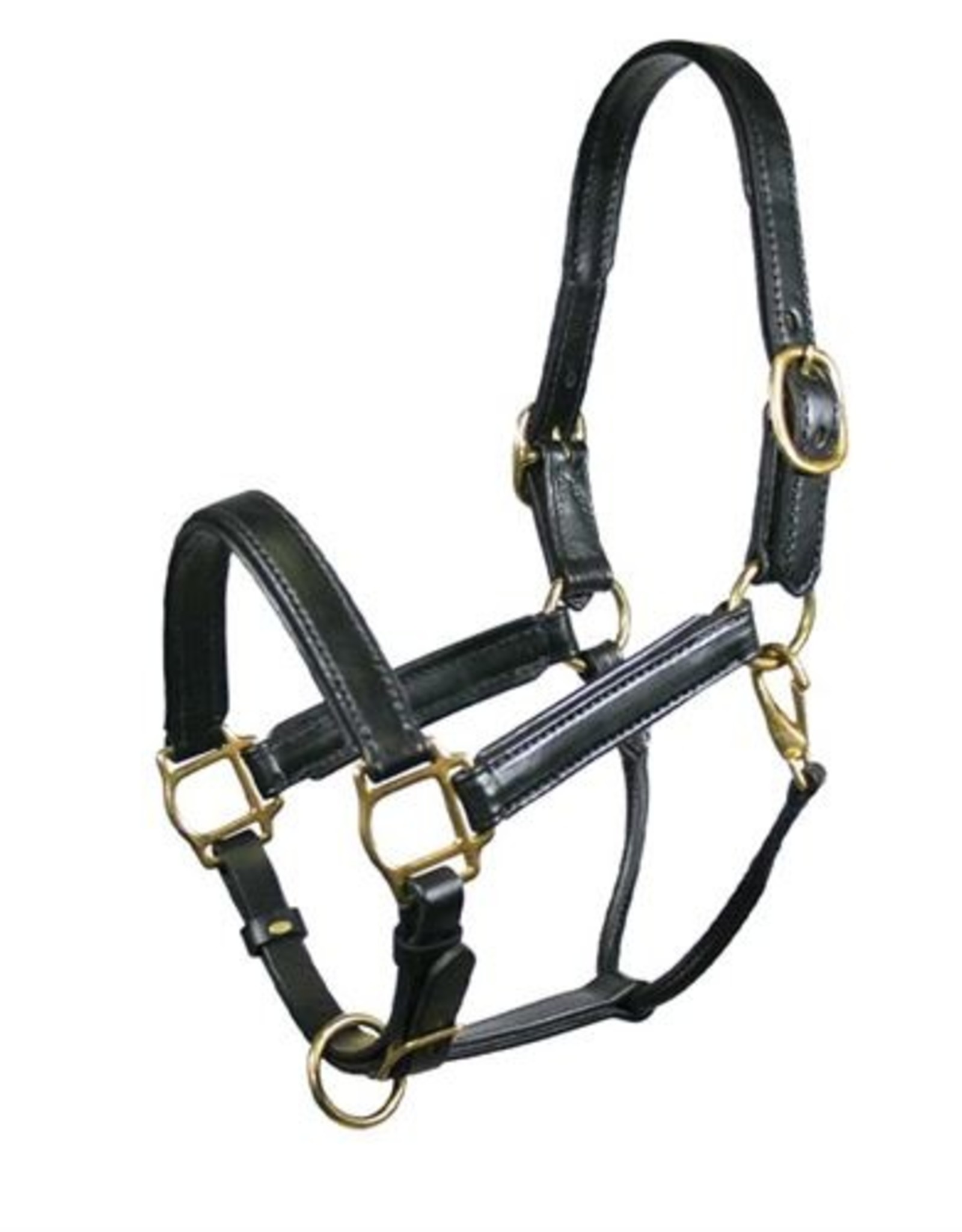 Tory Padded Leather Halter