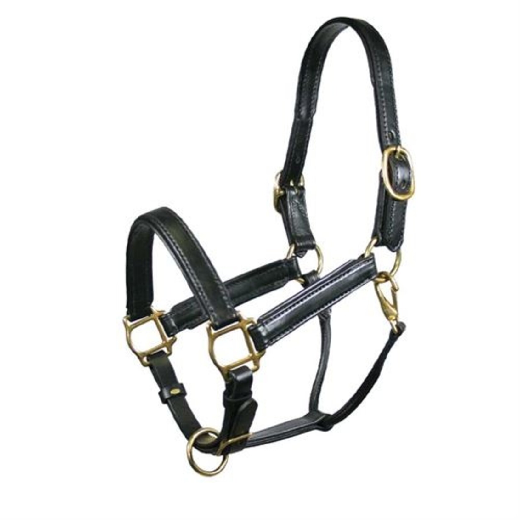 Tory Padded Leather Halter