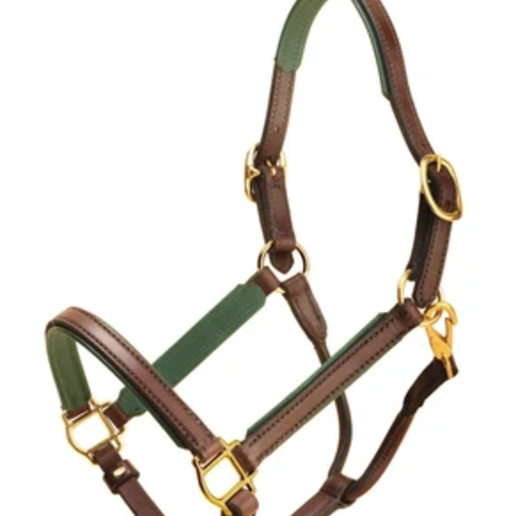 Tory Padded Leather Halter