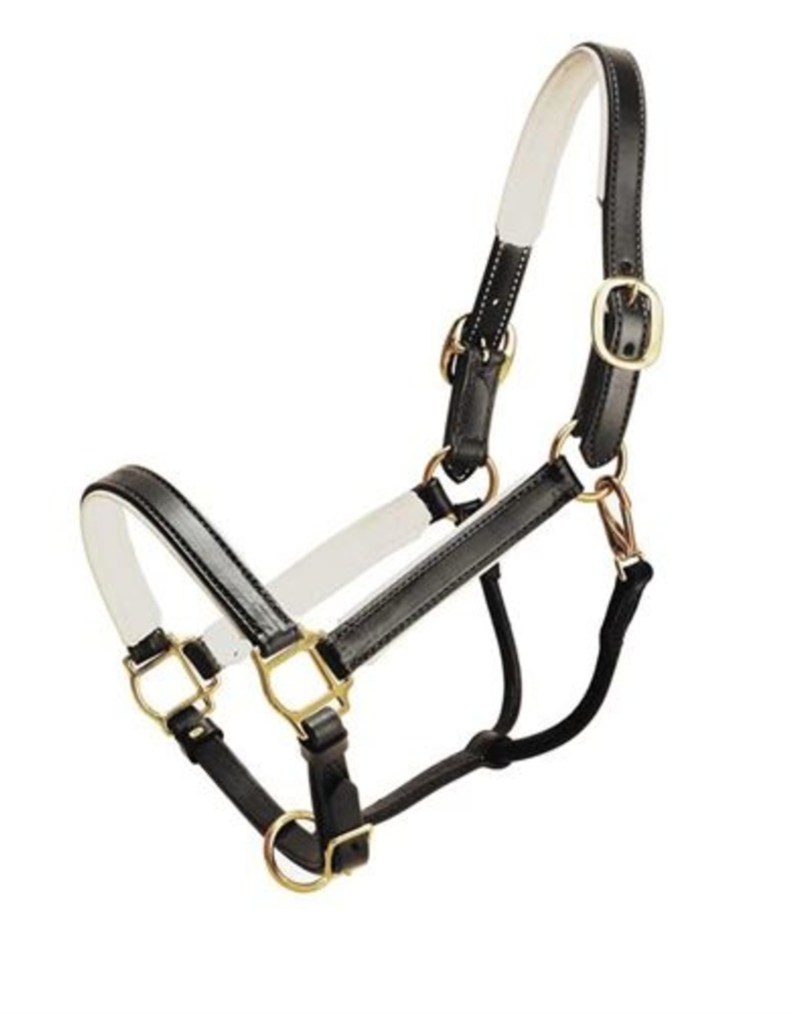 Tory Padded Leather Halter