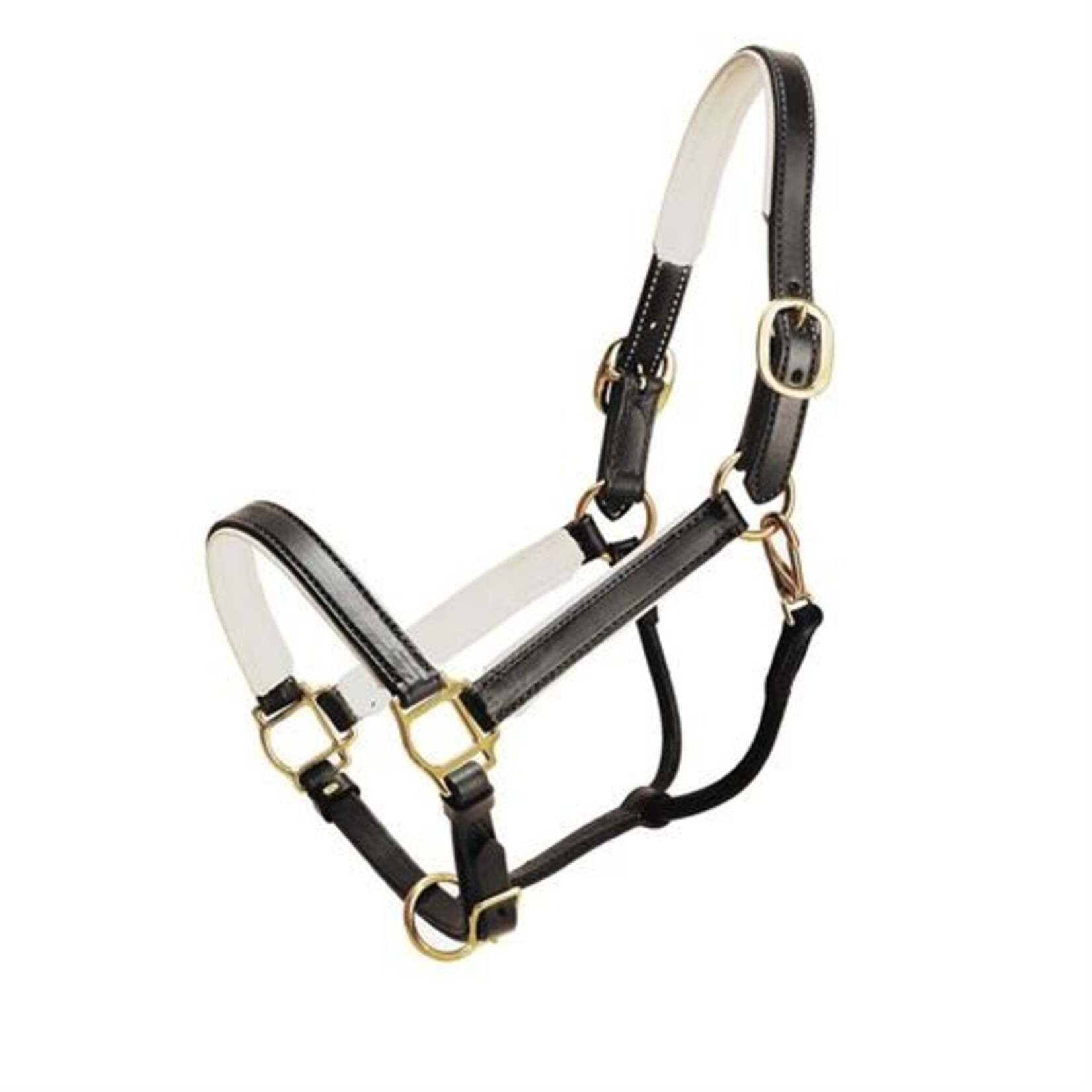 Tory Padded Leather Halter