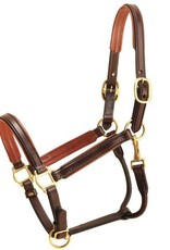 Tory Padded Leather Halter