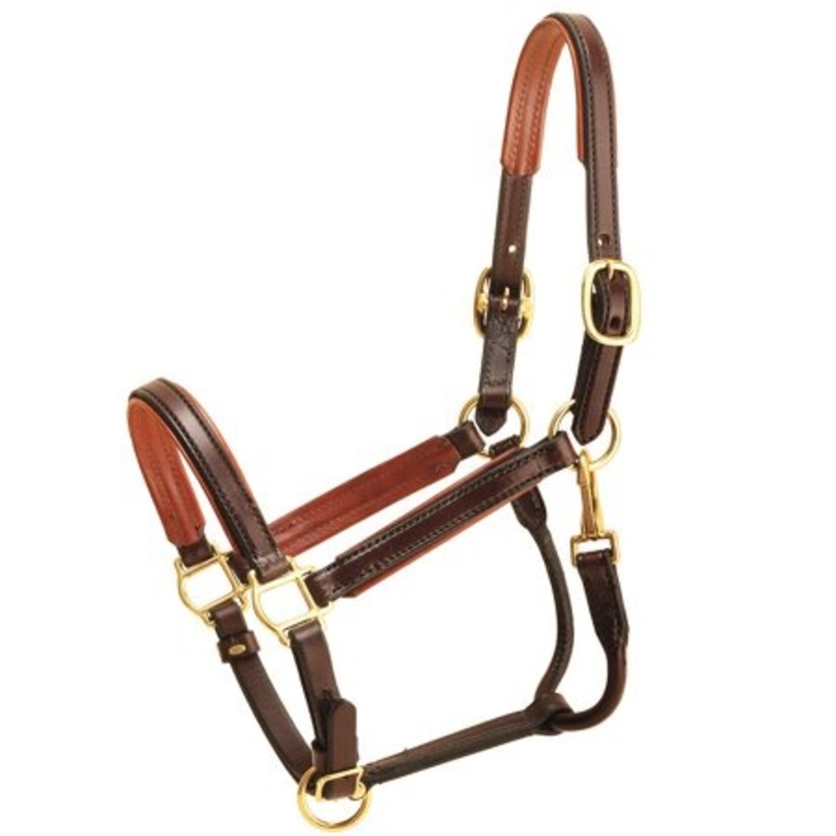 Tory Padded Leather Halter