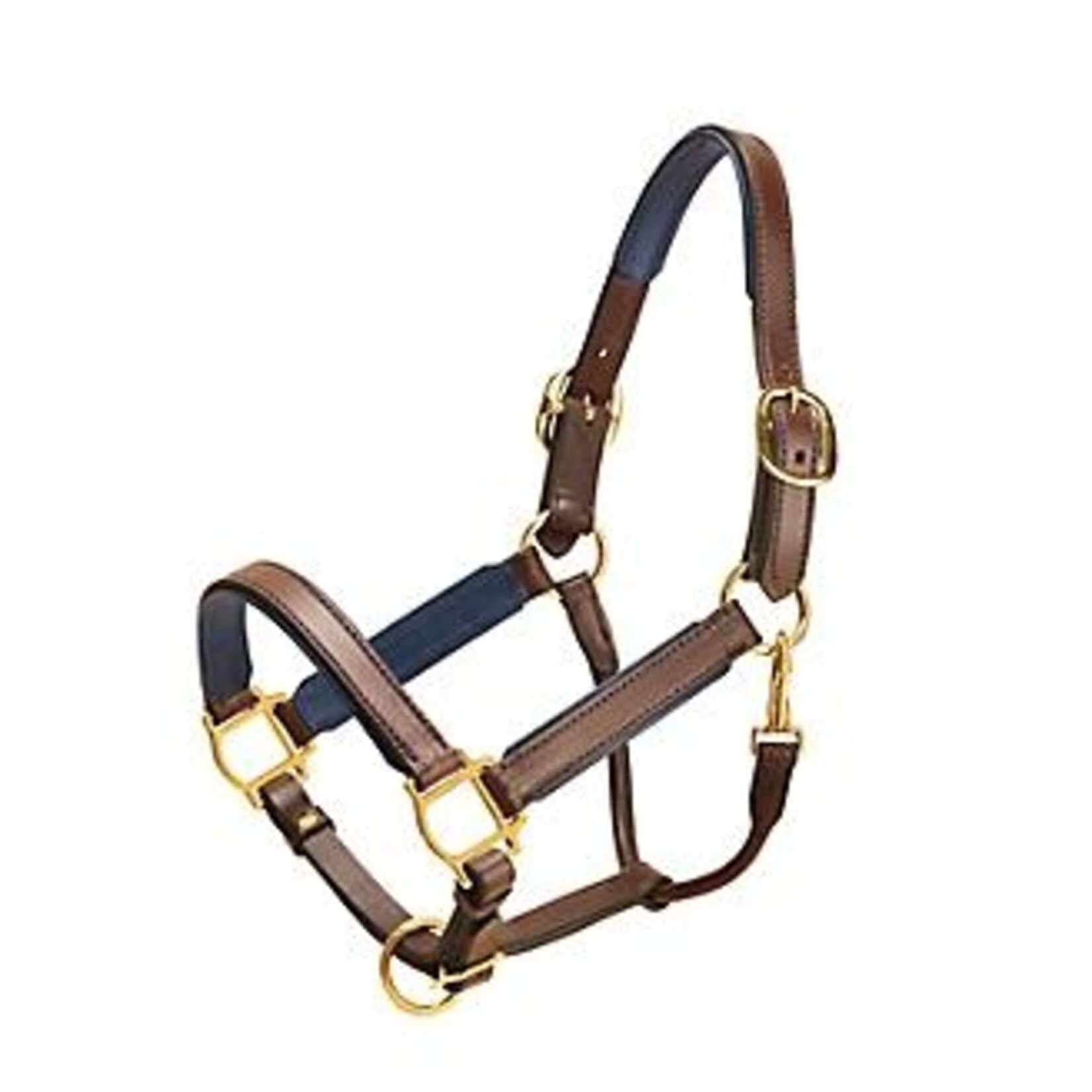 Tory Padded Leather Halter