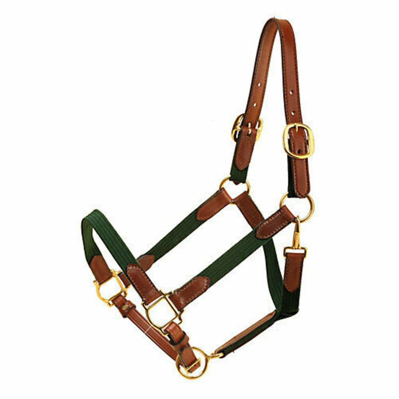Tory Cotton Web with Leather Halter
