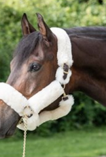 Perri's Sheepskin Shipping Halter