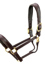 Walsh Signature Fancy Padded Leather Halter