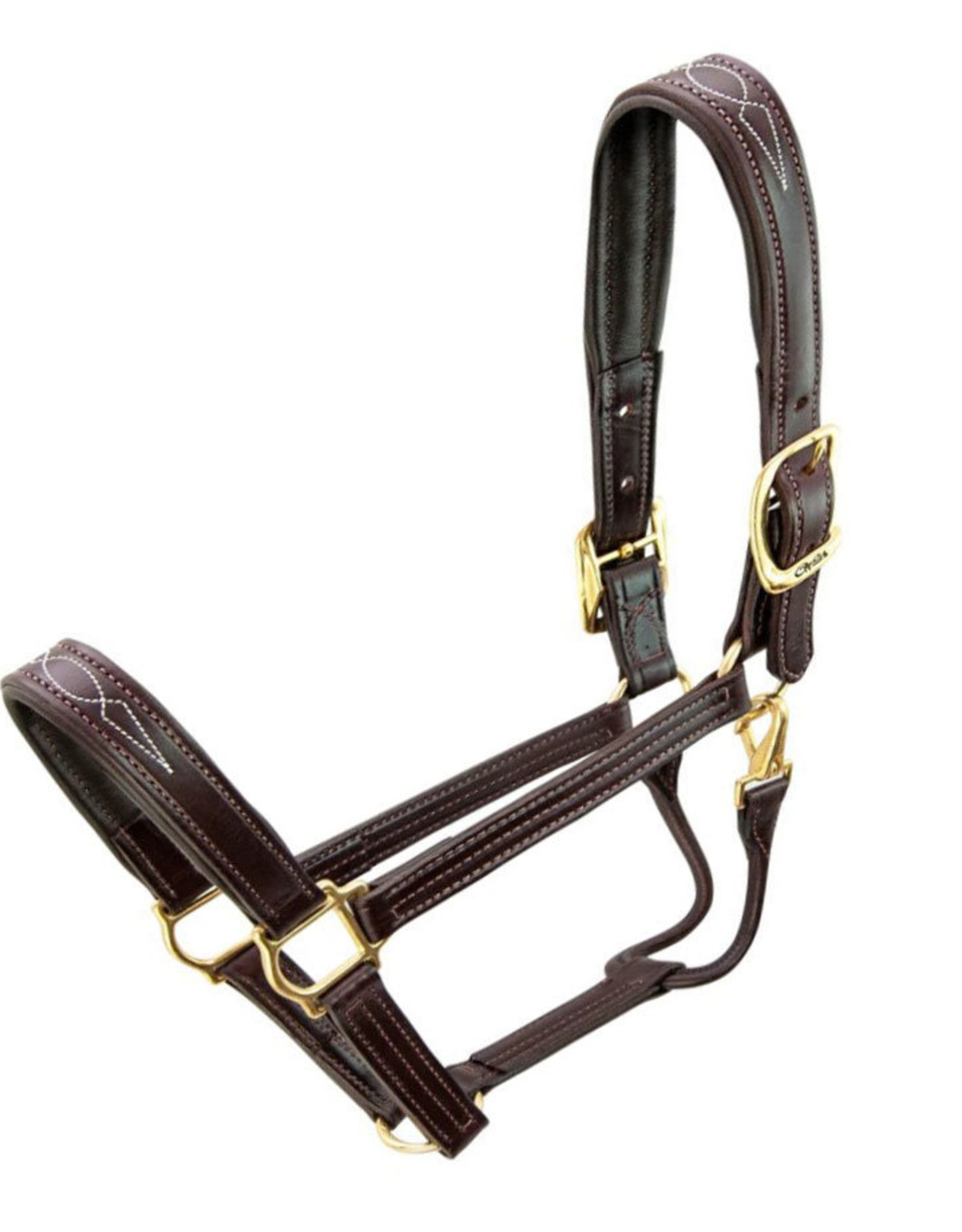 WO09A Dy'on Buffalo Leather halter with padded headpiece and