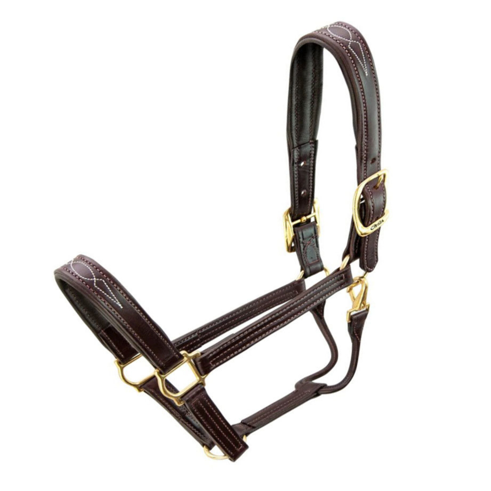 Walsh Signature Fancy Padded Leather Halter