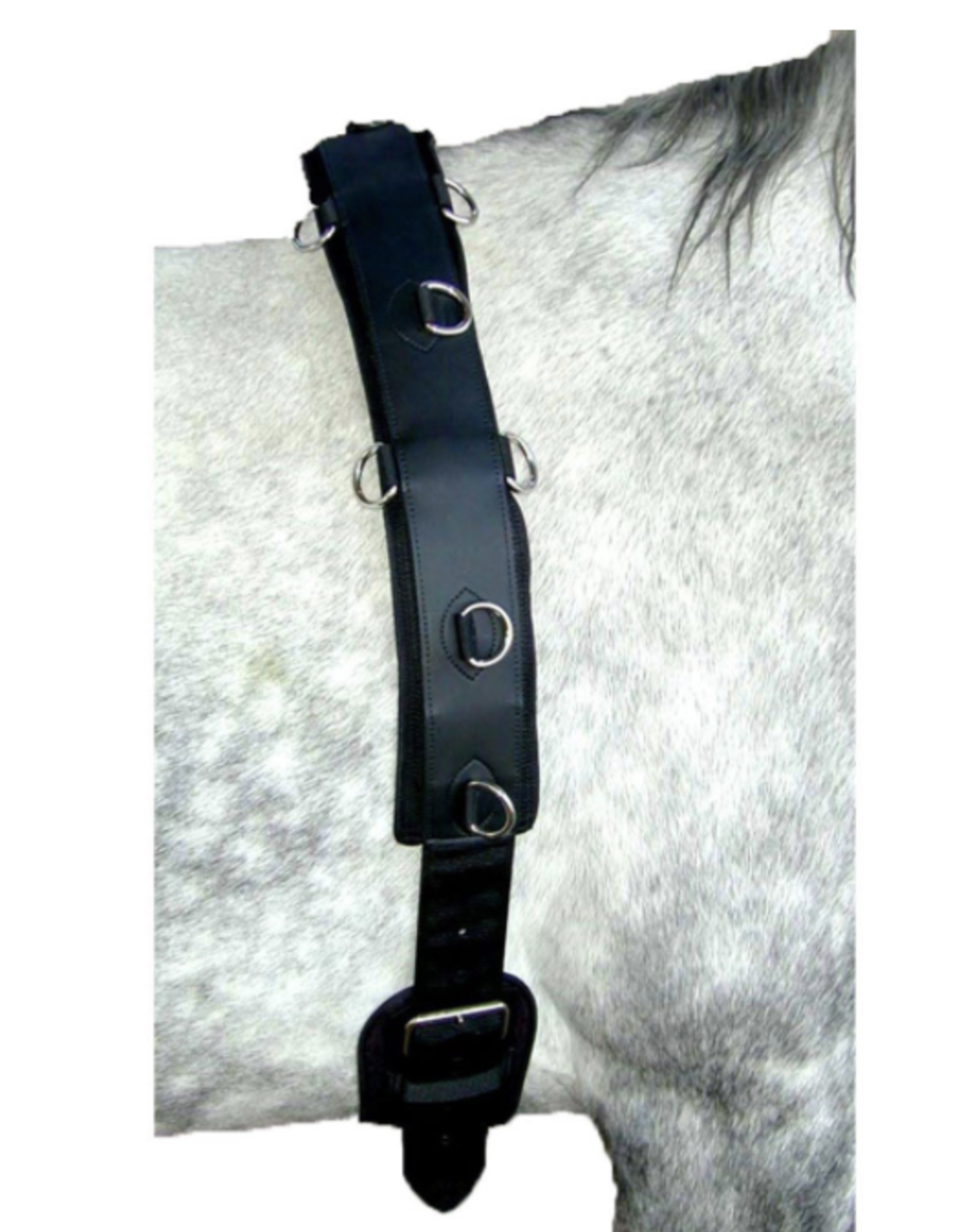 Intrepid Professional Neoprene Surcingle