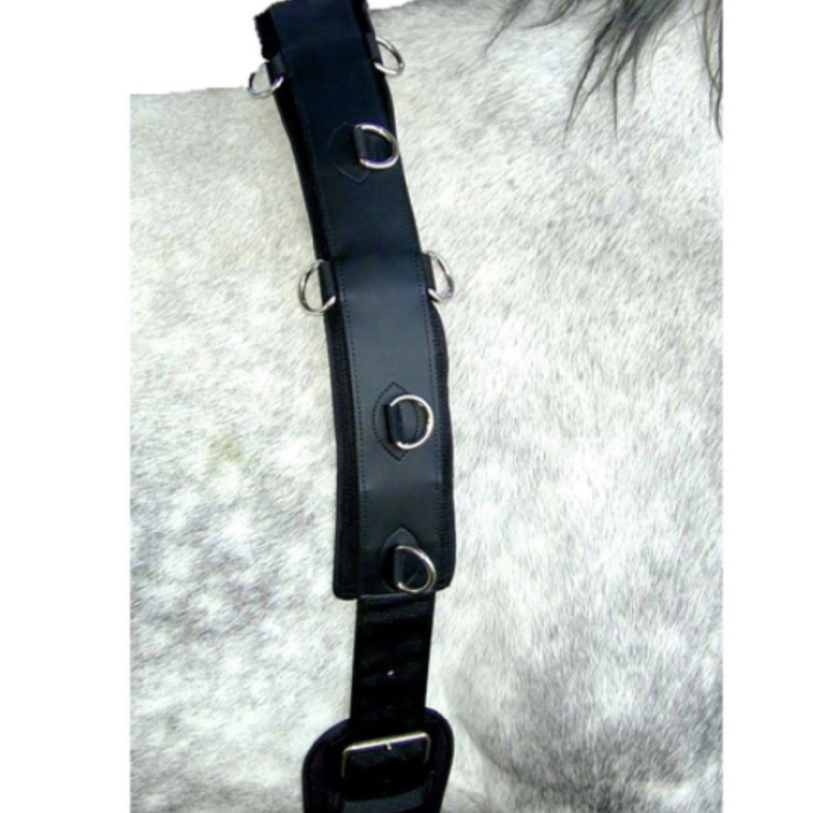 Intrepid Professional Neoprene Surcingle