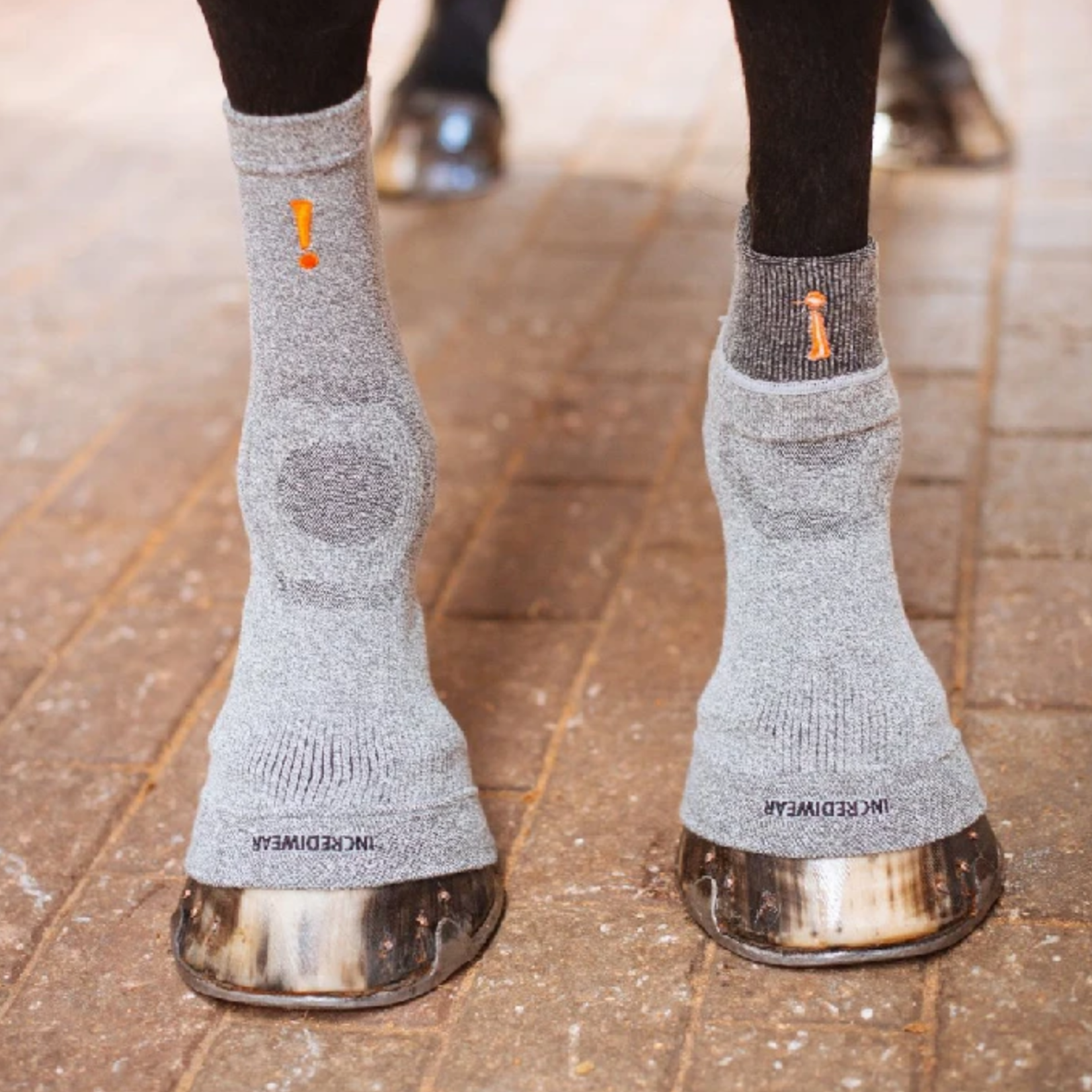 Incrediwear Equine Incrediwear Circulation Hoof Sock