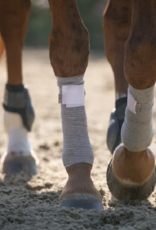 Incrediwear Equine Incrediwear Circulation Exercise Bandage