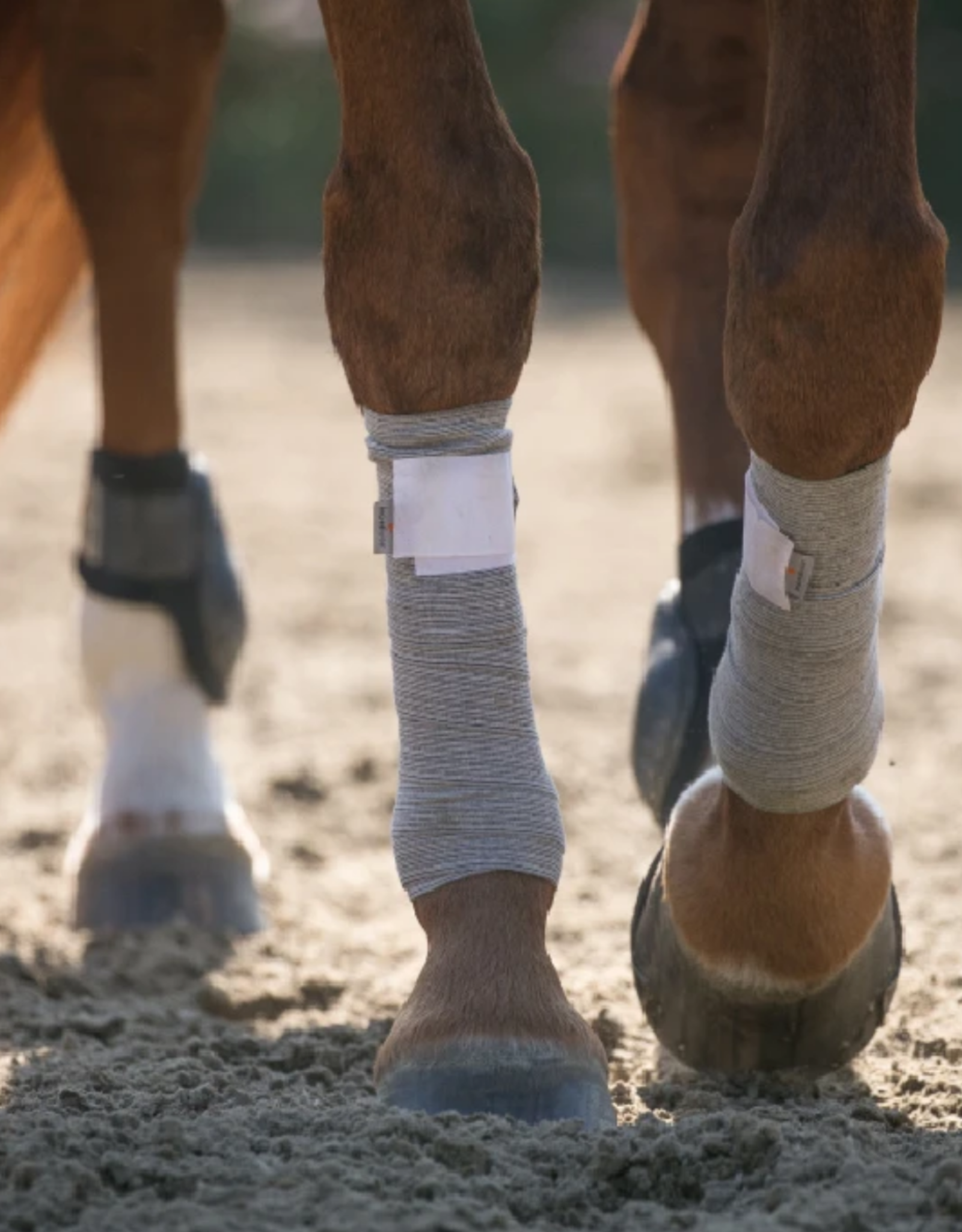 Incrediwear Equine Incrediwear Circulation Exercise Bandage