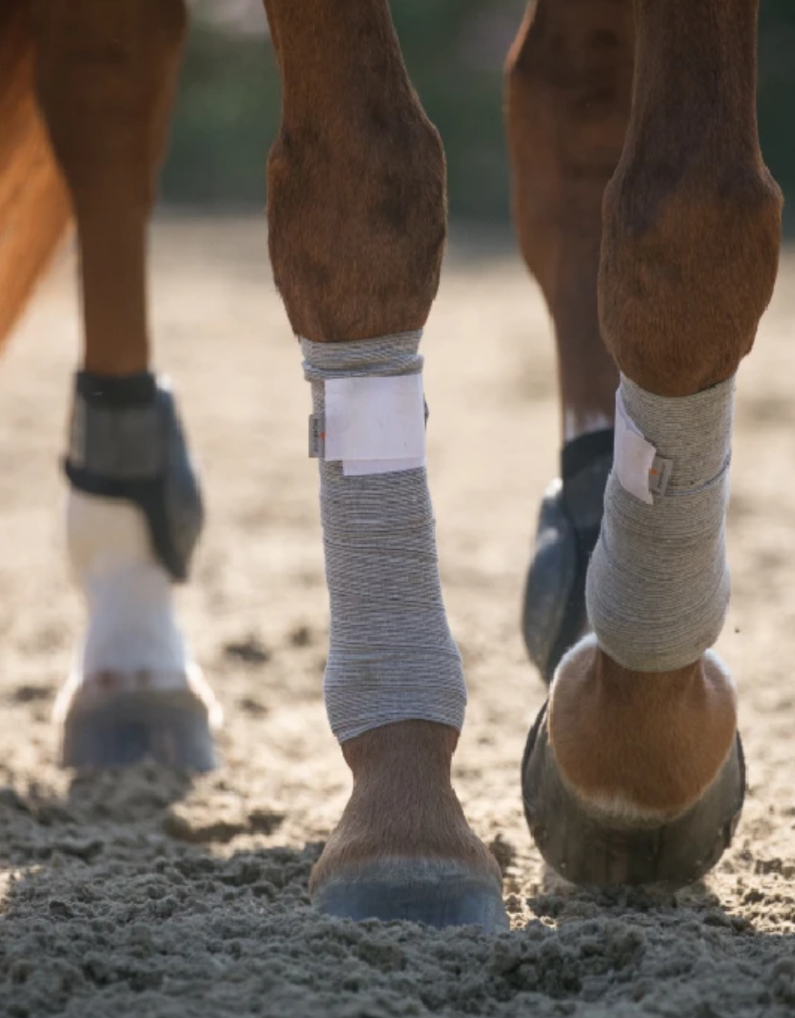 Incrediwear Equine Incrediwear Circulation Leg Wrap - Horse Size