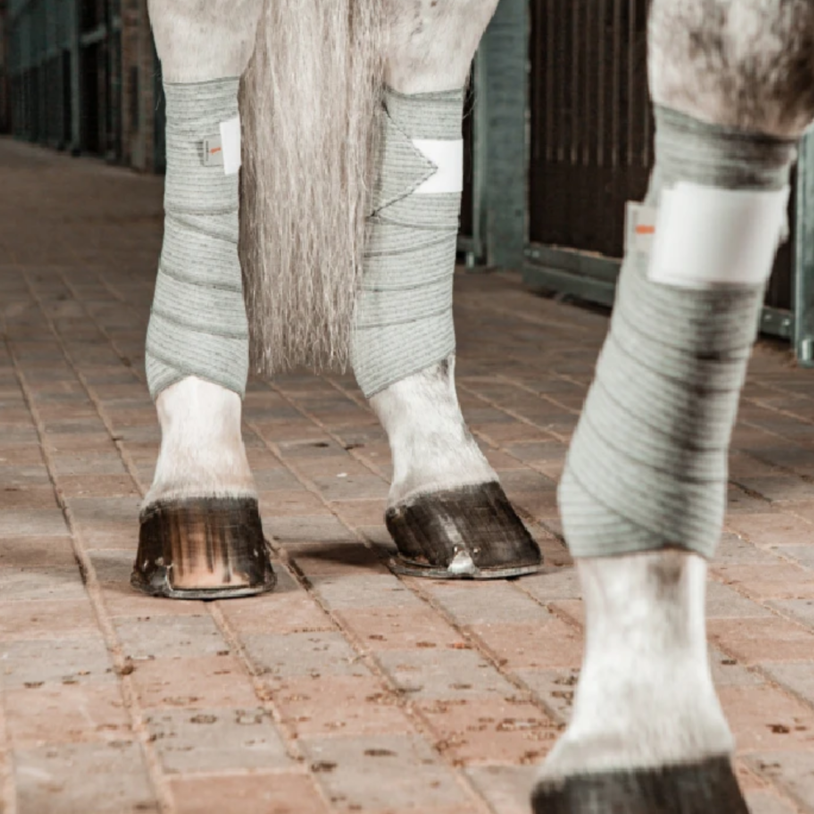 Incrediwear Equine Incrediwear Pony Circulation Exercise Bandages