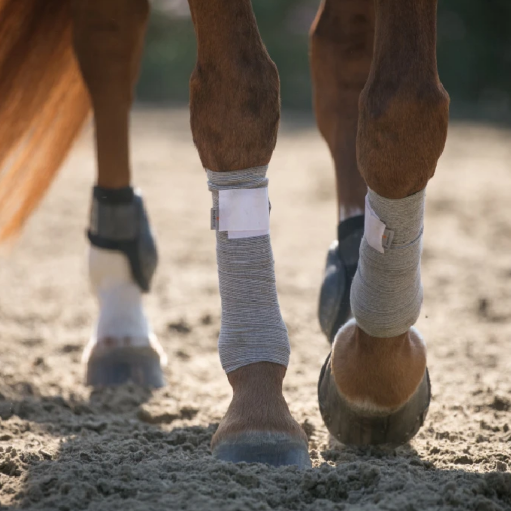 Incrediwear Equine Incrediwear Pony Circulation Exercise Bandages