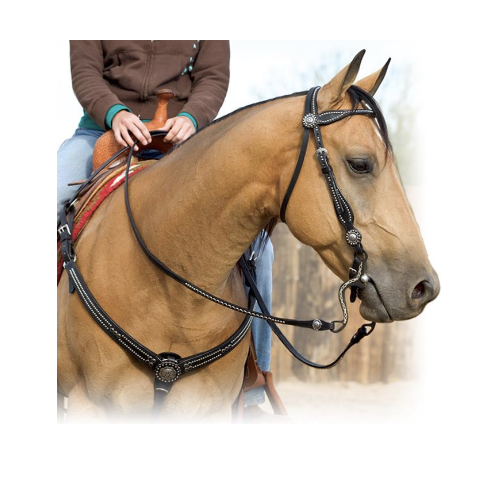 Weaver Back in Black Headstall