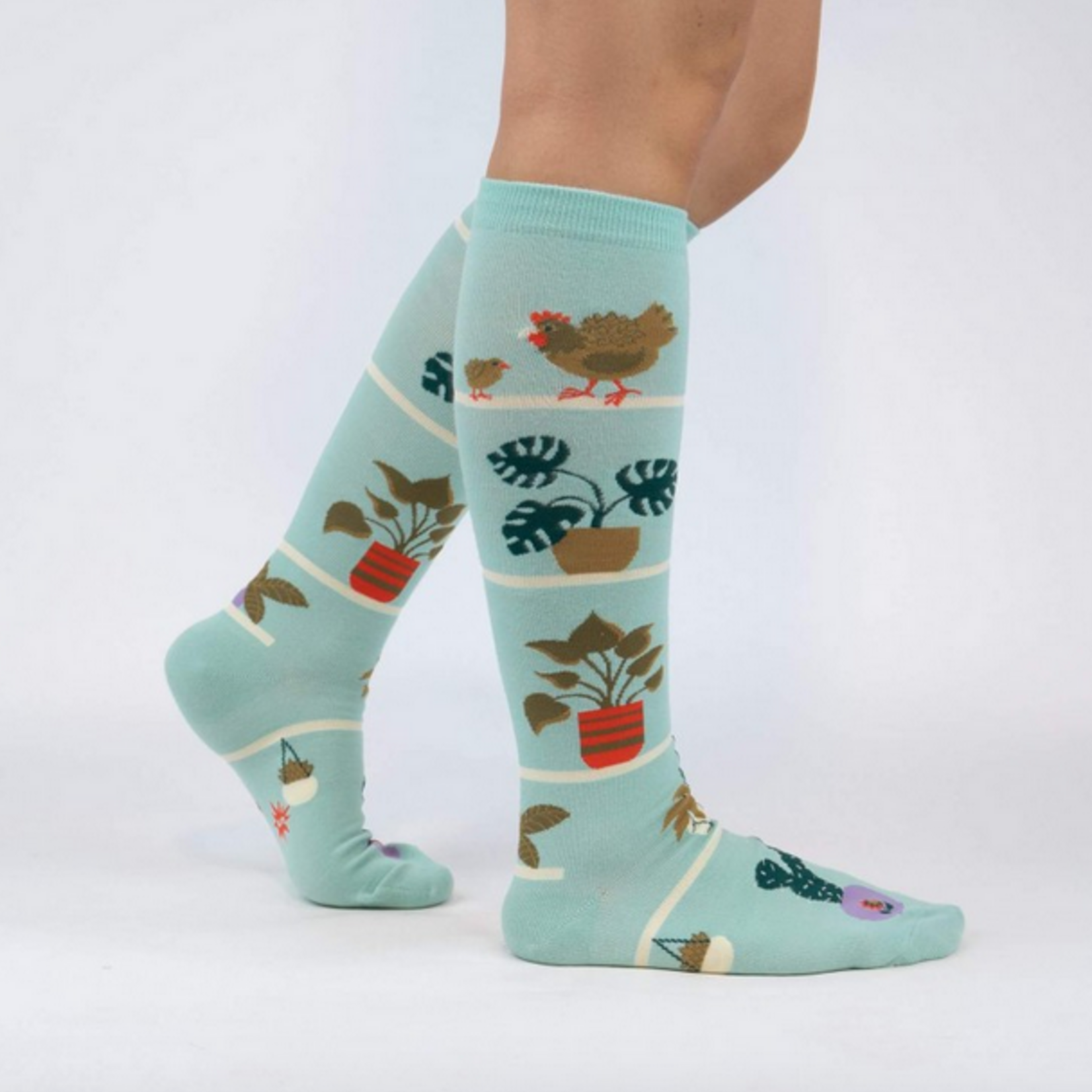 Sock It To Me Ladies' Knee High Socks