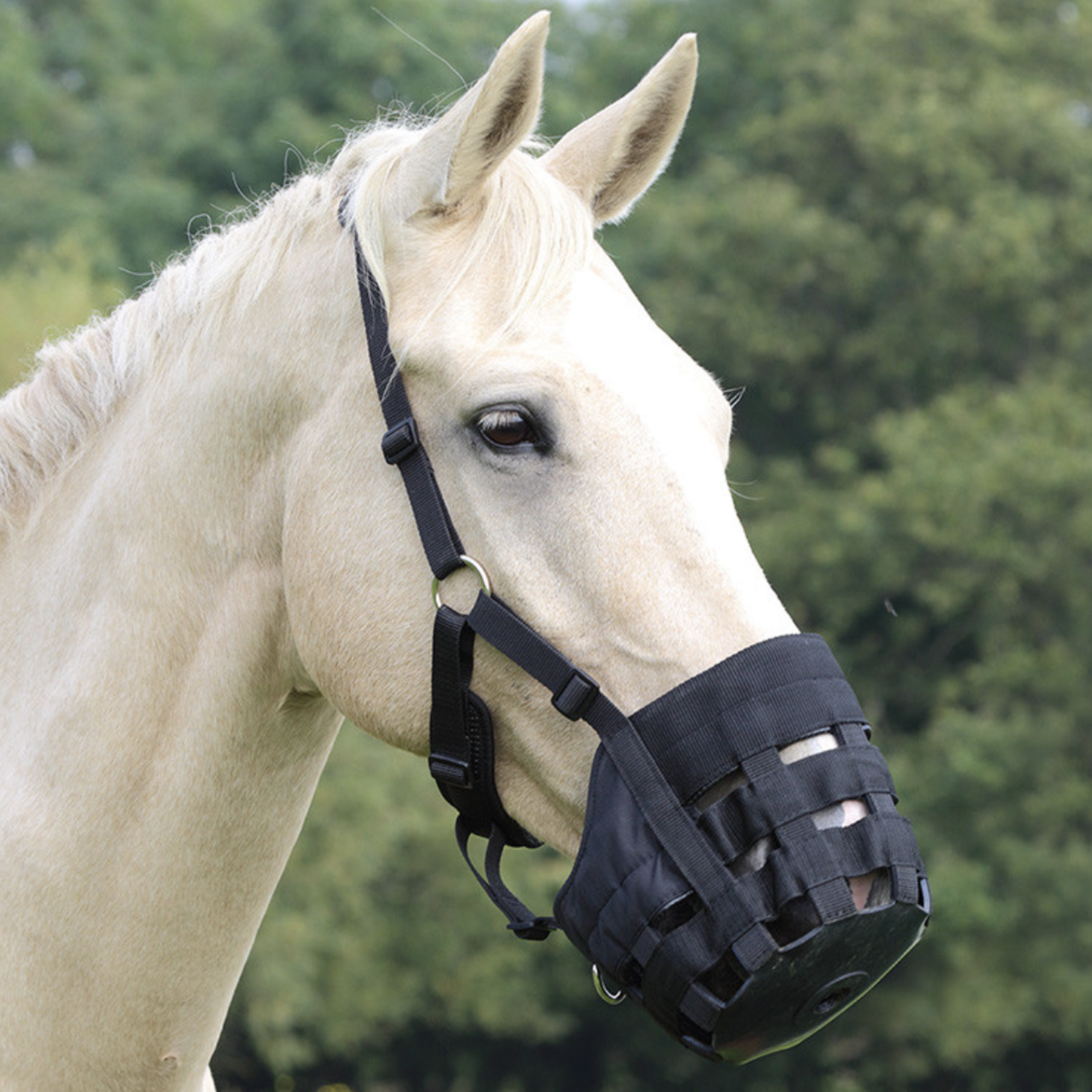 Shires Comfort Grazing Muzzle